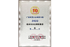 广西民营企业纳税十强